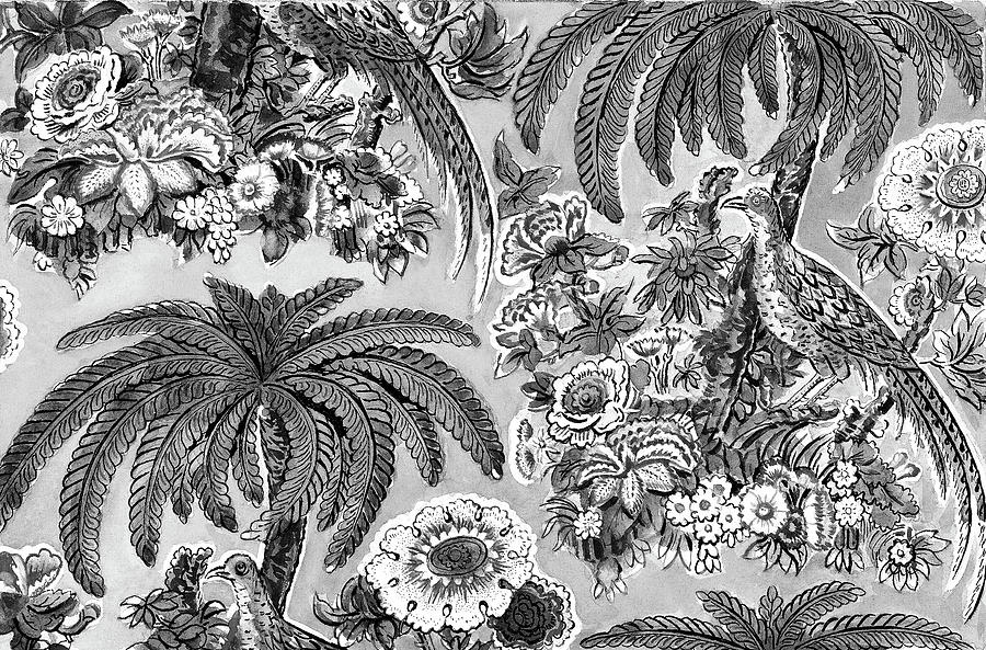 Chintz 1936 BW Painting by Bob Pardue