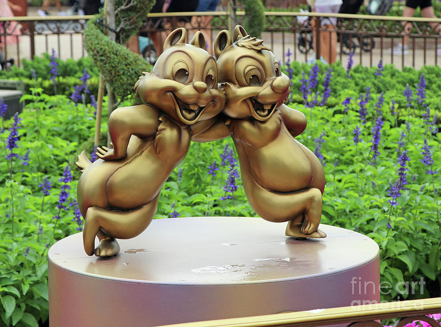 Chip and Dale 1278 Photograph by Jack Schultz