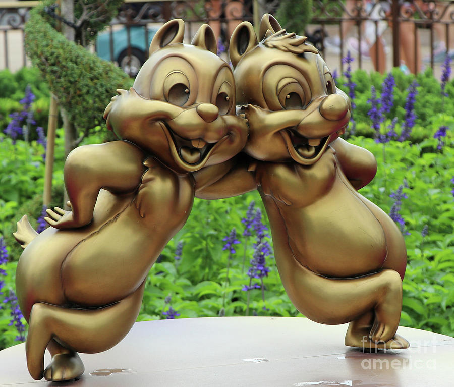 Chip and Dale 1279 Photograph by Jack Schultz