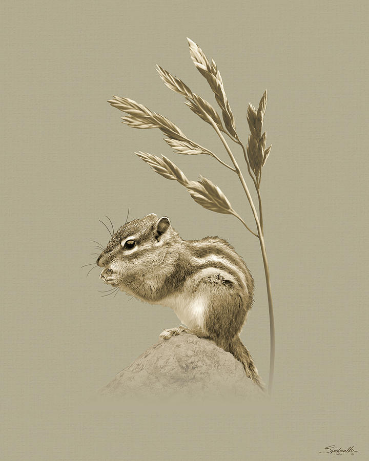 Chipmunk and Fescue					 Digital Art by M Spadecaller