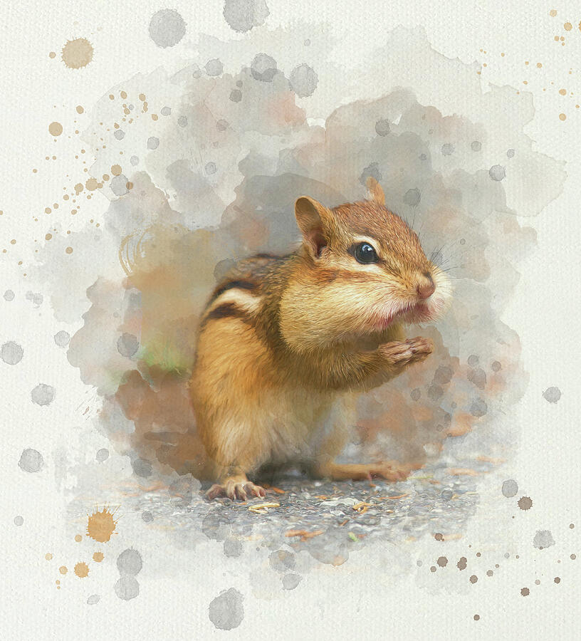 Wildlife Digital Art - Chipmunk by Lena Auxier
