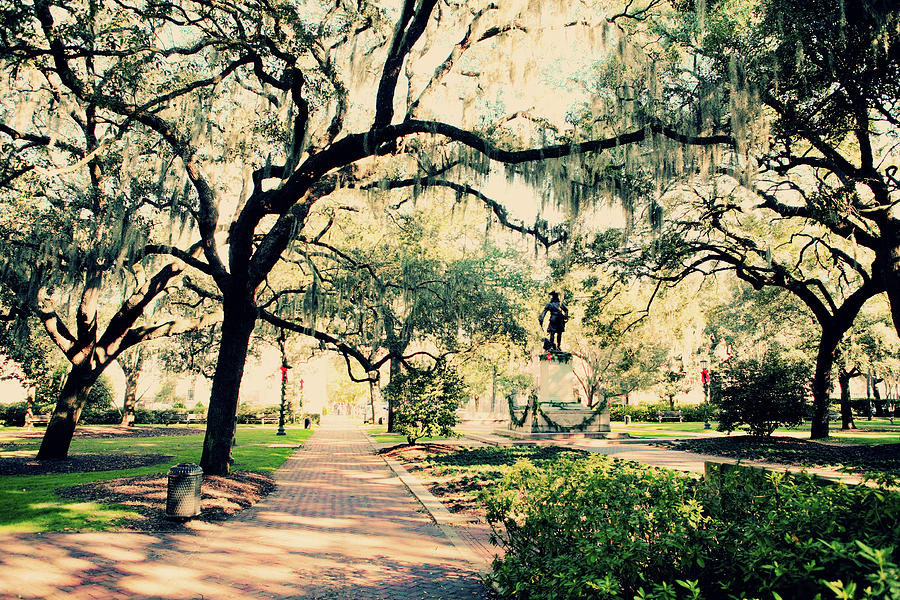 Chippewa Square, Savannah, Georgia Photograph by R W I - Fine Art Prints