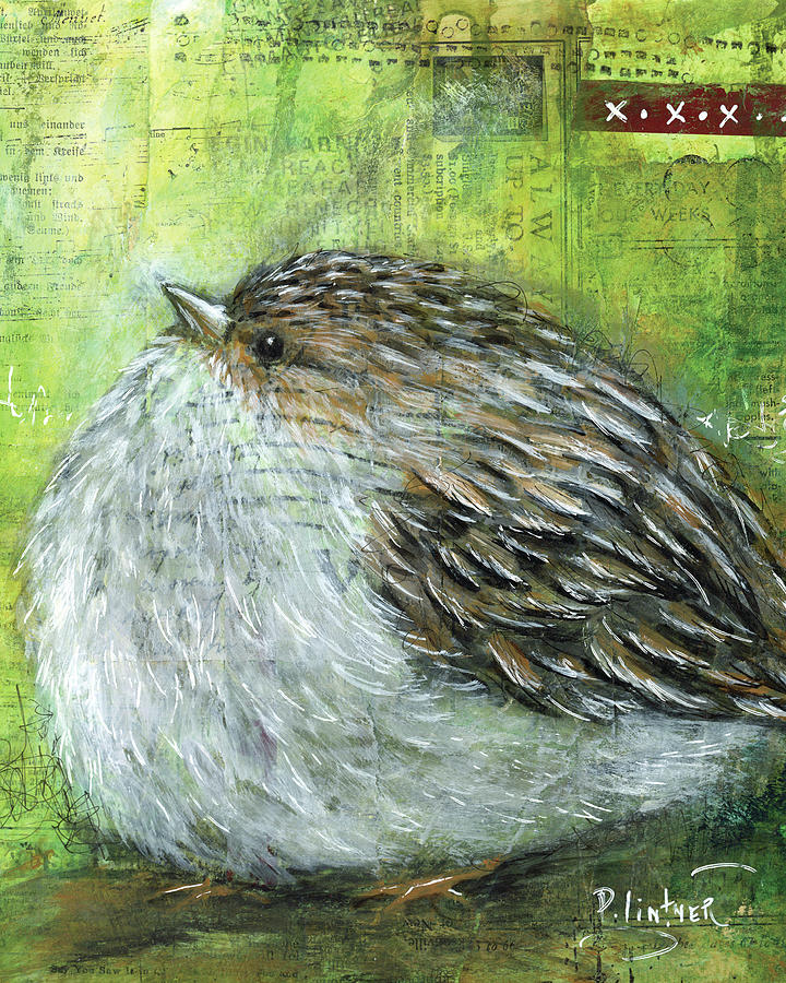 Chipping Sparrow Mixed Media by Patricia Lintner