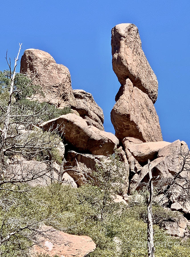 Chiricahua National Monument Photograph by Sean Griffin