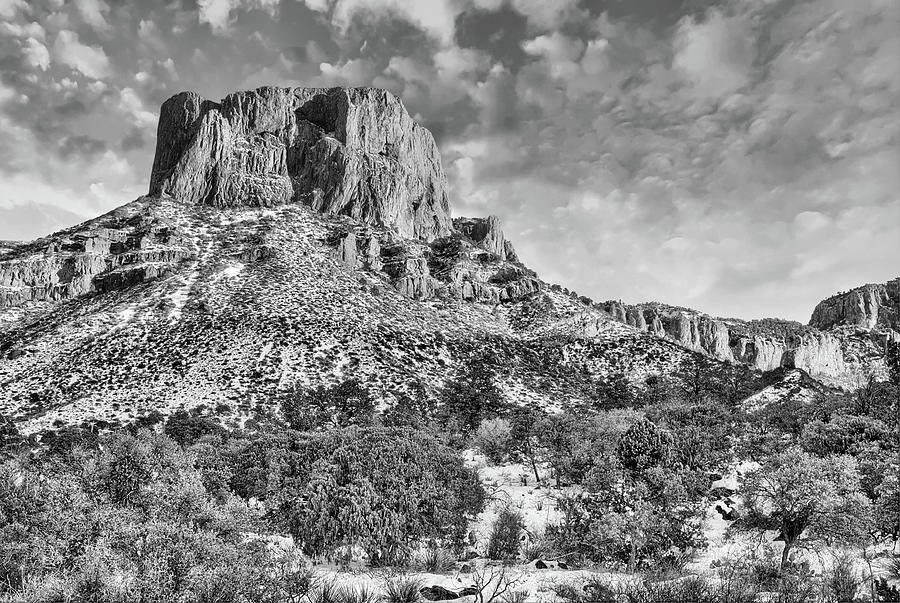 Chisos Basin Snowfall in Black and WHite Photograph by JC Findley
