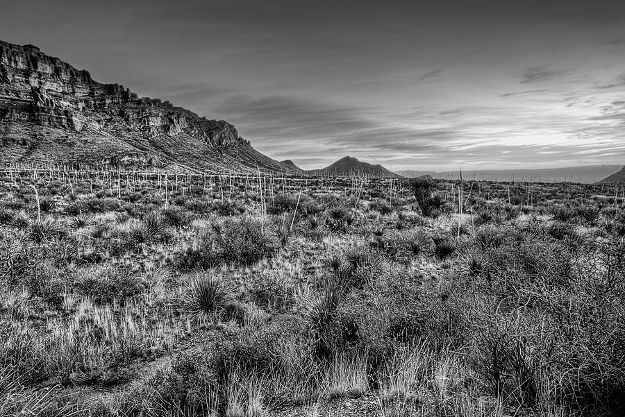 Chisos Mountains Sunrise Black and White Photograph by JC Findley
