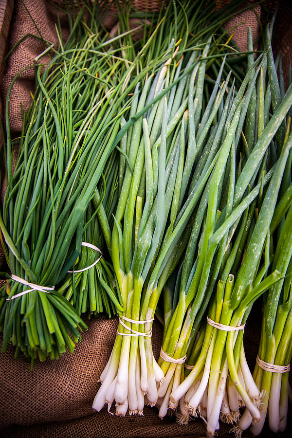 Chives Photograph by Vanessa Van Ryzin, Mindful Motion Photography