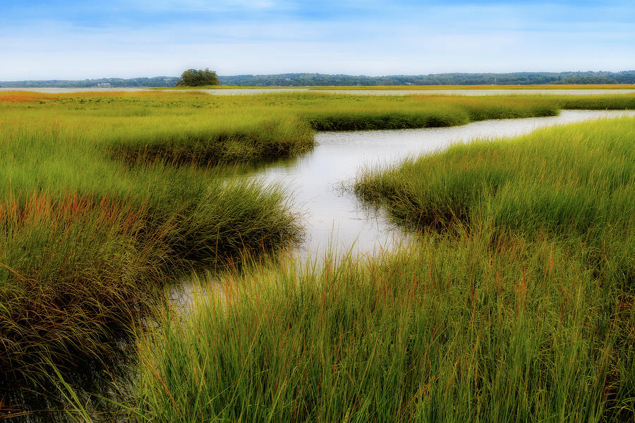 Choate Is. Estuary 1,  Ipswich MA. Photograph by Michael Hubley