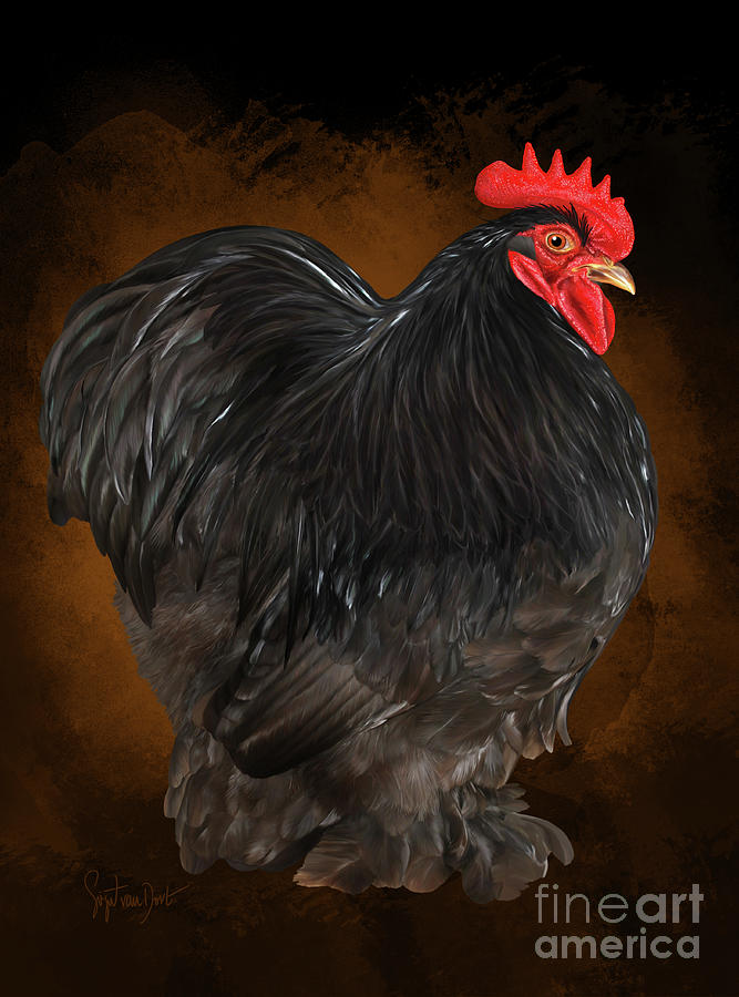 Bantam Digital Art - Choc Cochin Bantam Cock Eurostyle by Sigrid Van Dort Bantam Digital Art - Choc Cochin Bantam Cock Eurostyle by Sigrid Van Dort