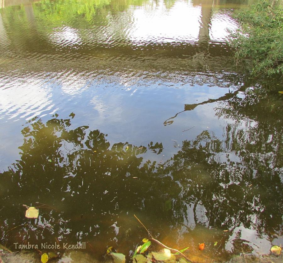 Chocolate Bayou Reflections Photograph by Tambra Nicole Kendall