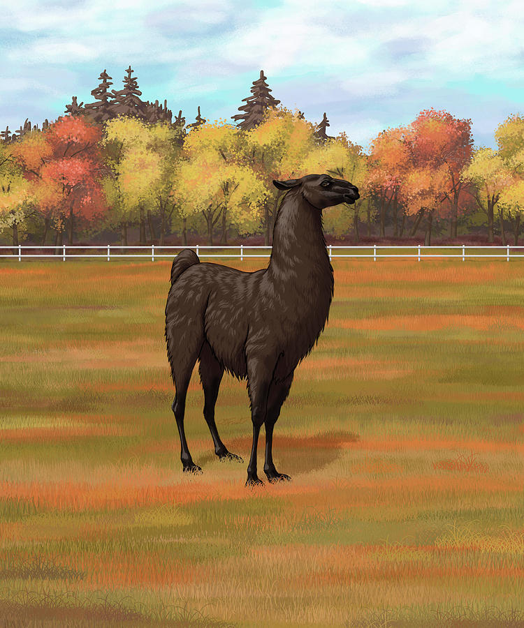 Farm Animals Painting - Chocolate Brown Llama in Autumn Farm Pasture by Crista Forest