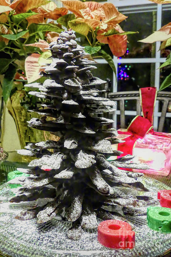 Chocolate Christmas Tree Photograph by Amy Dundon