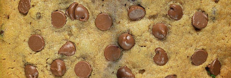Chocolate Cookie Panorama Photograph