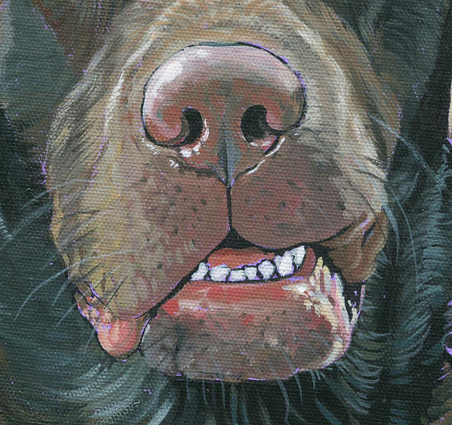 Chocolate Lab, Duncan Painting by Nadi Spencer