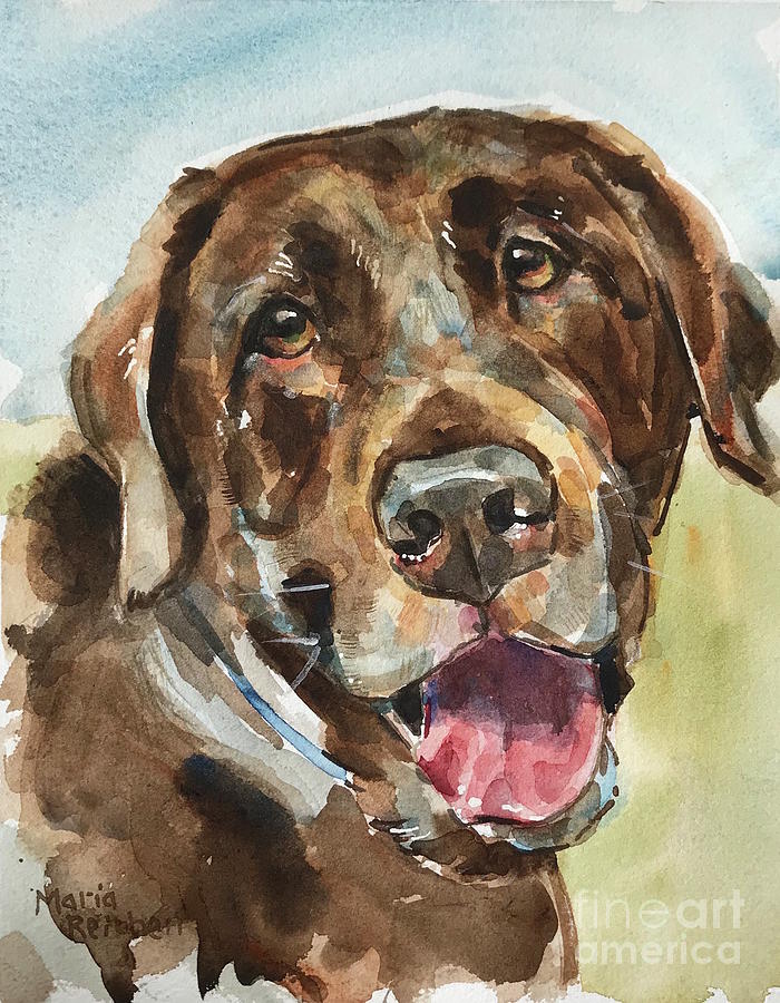 Chocolate Labrador  Painting by Maria Reichert