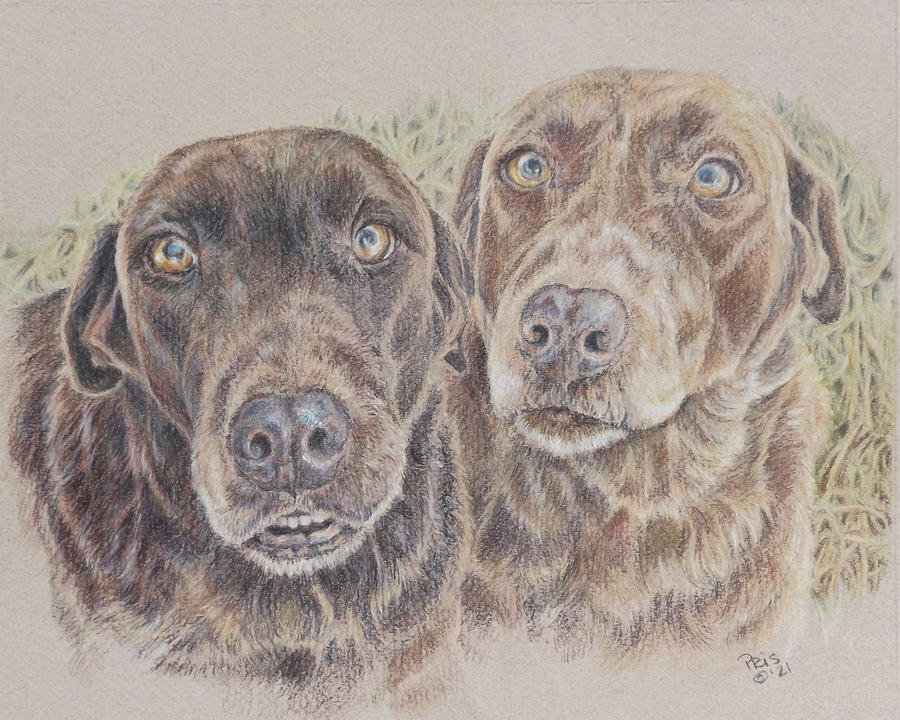 Chocolates for Two Drawing by Pris Hardy