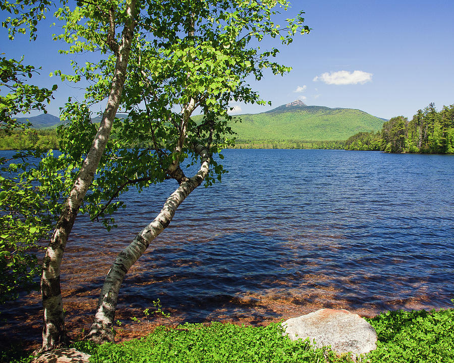 Chocorua Lake, New Hampshire Photograph by John Rowe