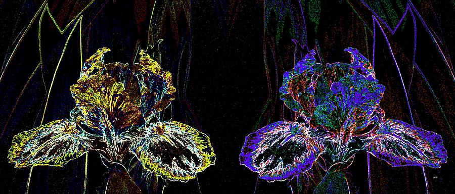 Choice Abstract Irises Digital Art by Will Borden