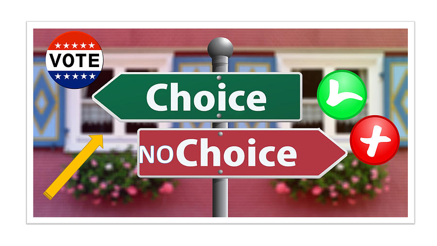 Choice or No Choice VOTE Mixed Media by Nancy Ayanna Wyatt
