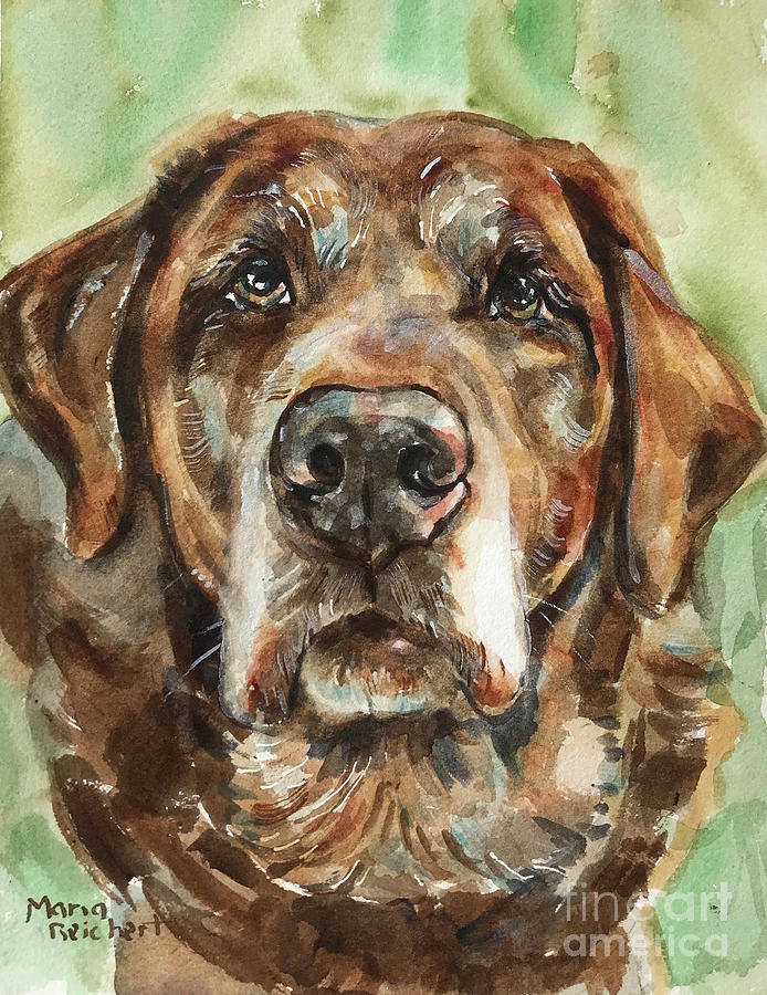 Cholate Labrador Painting by Maria Reichert