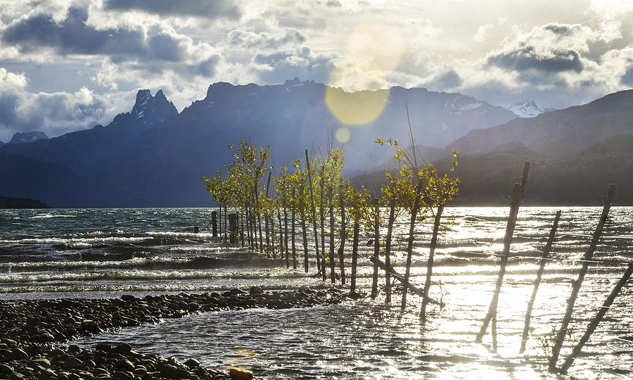 Cholila Lake, Argentine Patagonia Photograph by Dedé Vargas