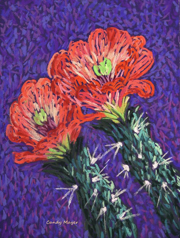 Cholla Flowers Pastel by Candy Mayer