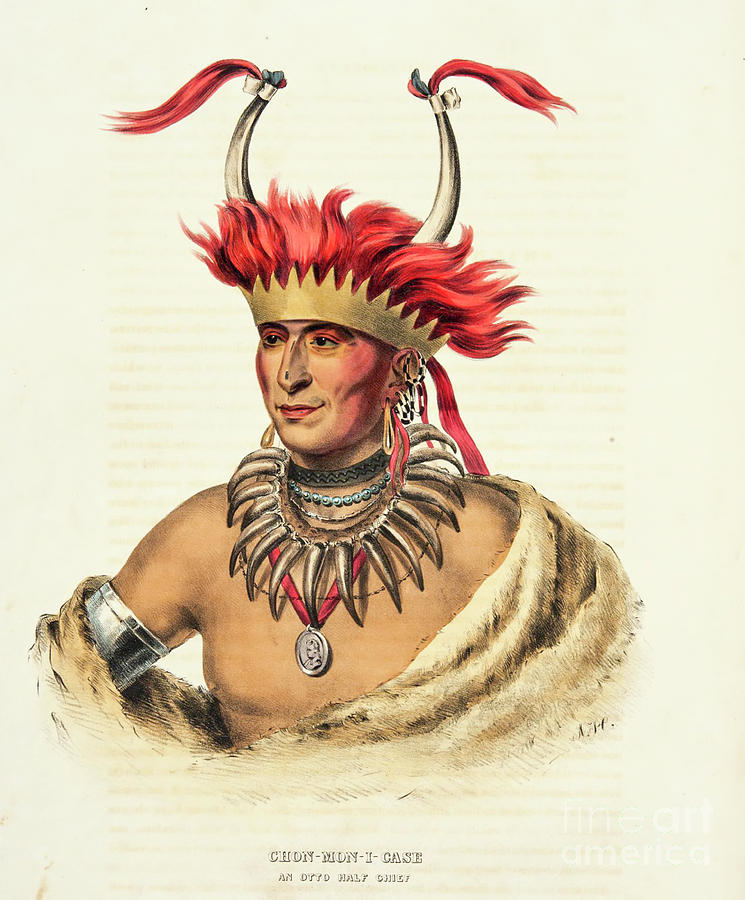 Chon-Mon-I-Case an Otto Half Chief s2 Painting by Botany
