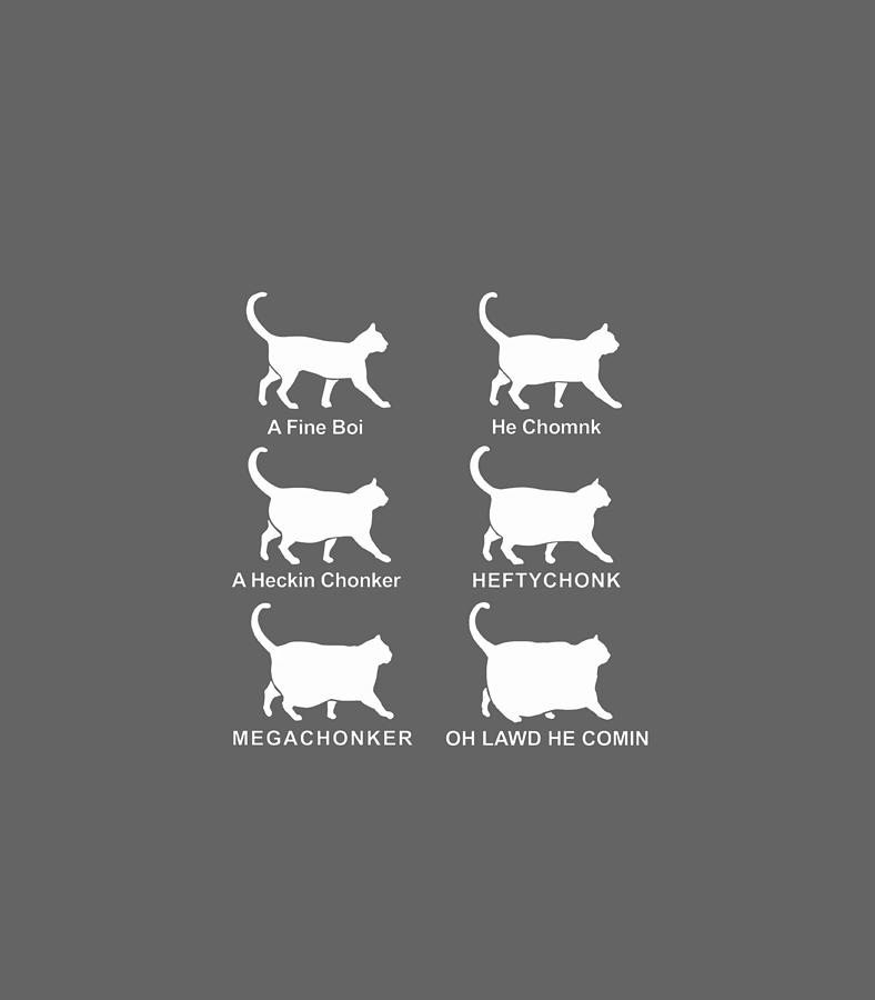 Chonk Cat Classification Chart Funny Chonk Chart Digital Art by Klayto