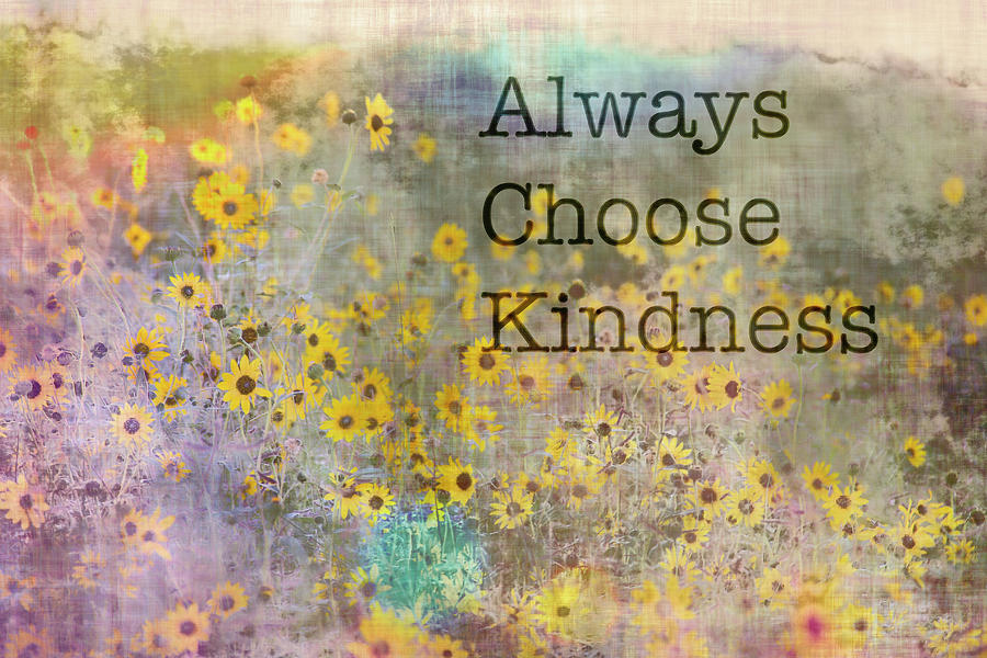Choose Kindness Photograph by Amy Sorvillo