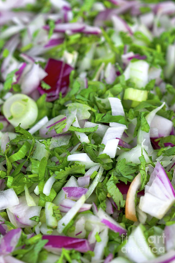 Chopped Salad Photograph by Stephen Melia