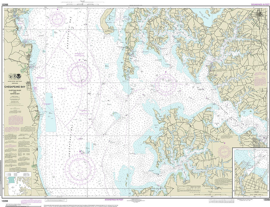 Choptank River and Herring Bay Nautical Chart 12266 Digital Art by John ...