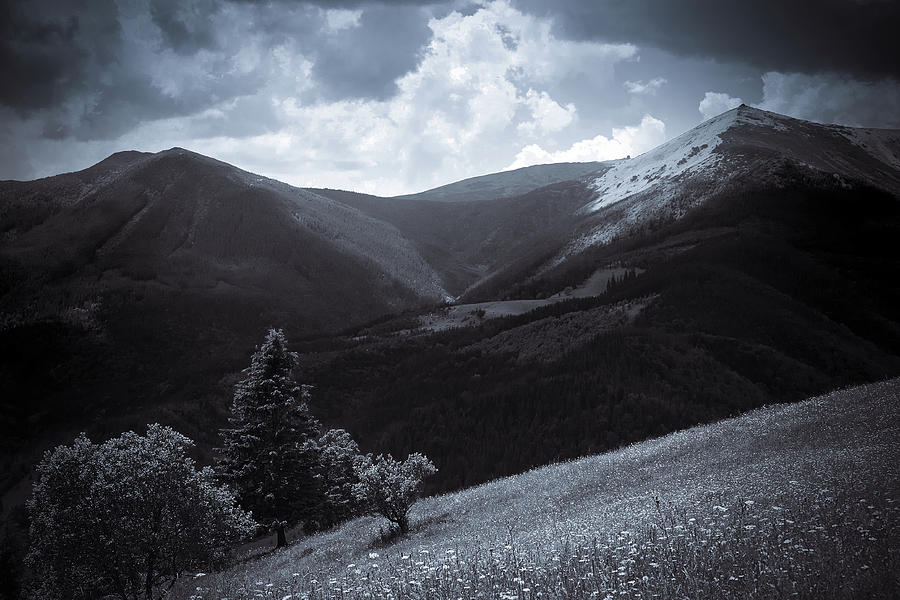 Chornohora Black Mountains Photograph by Andrii Maykovskyi