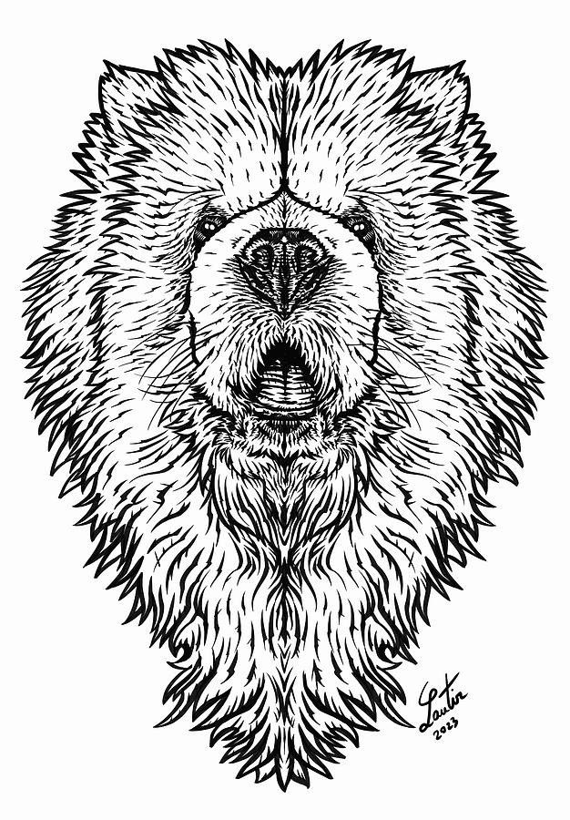 Chow Chow Drawing - CHOW CHOW - ink portrait by Fabrizio Cassetta