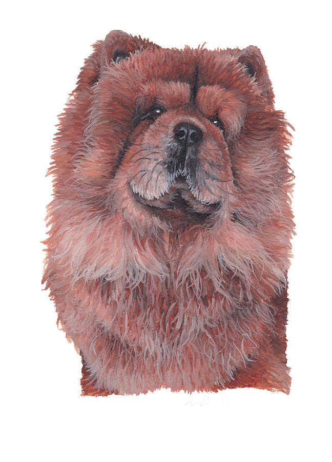 Chow Chow Painting by Katherine Klimitas | Fine Art America