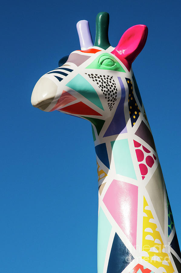 Christchurch Giraffe Statue Photograph by Bob Phillips