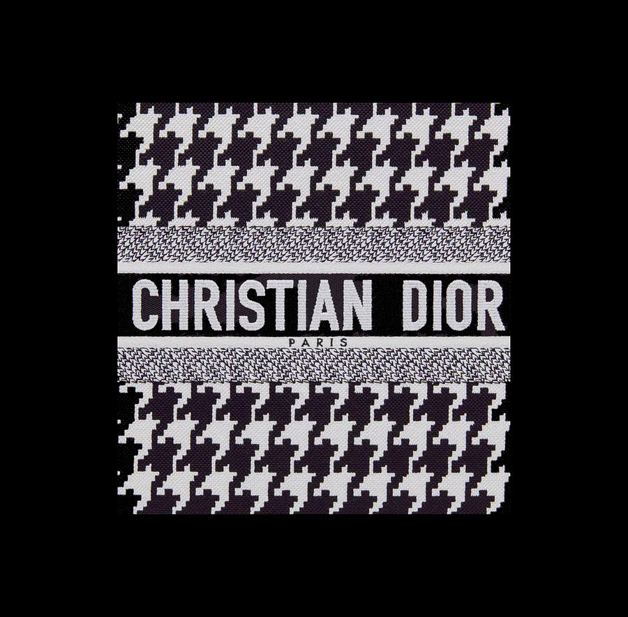 Christian Dior Art Digital Art by Aldric Edkins - Fine Art America