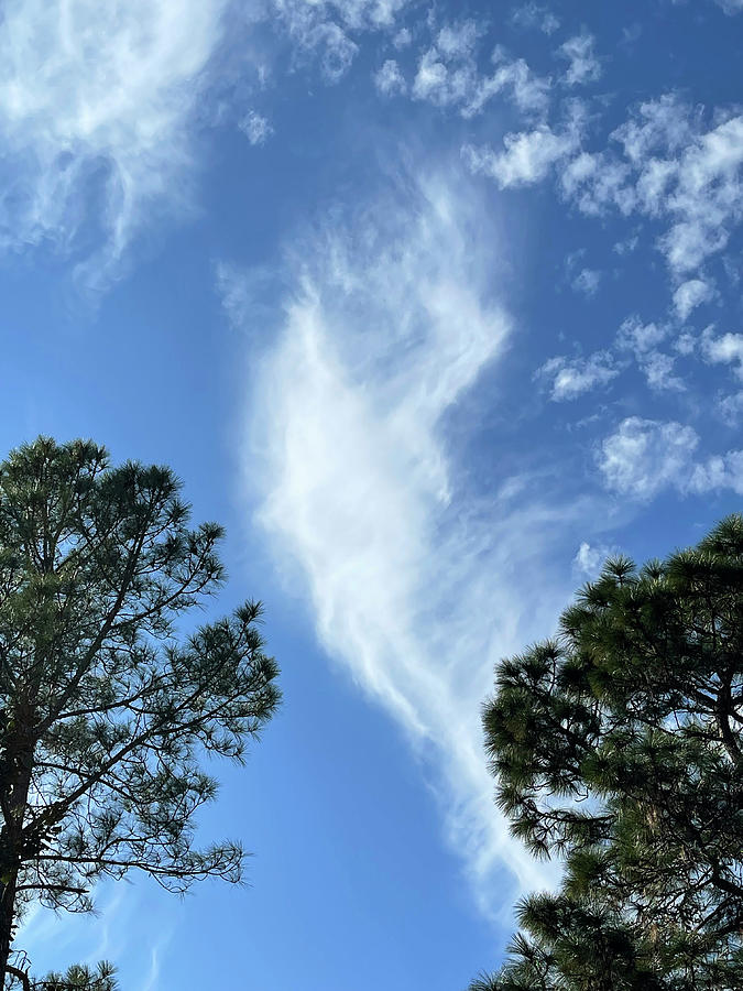 Christmas Angel Cloud 2021 Photograph by Matthew Seufer