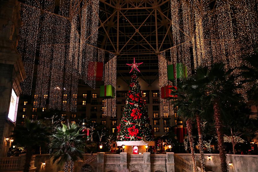 Christmas At Gaylord Texan Resort Photograph by Sherri McCollum - Fine ...