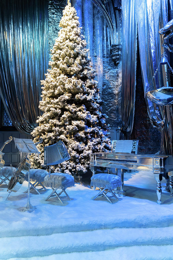 Christmas at Hogwarts Photograph by Roger Lighterness