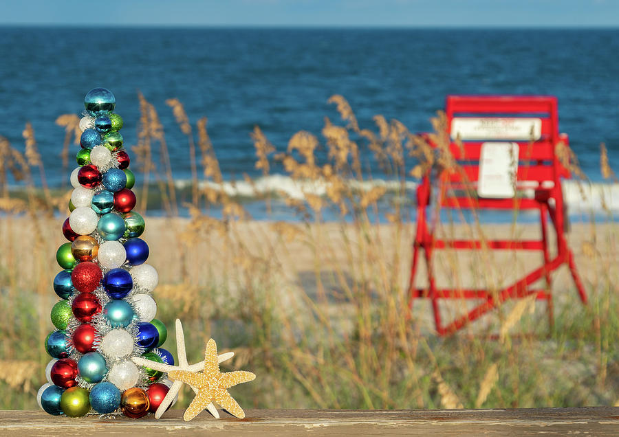 Christmas at the Beach Holiday Greeting Card Photograph by Dawna Moore Photography