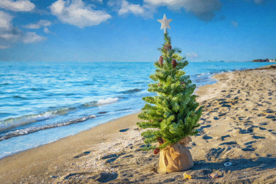 Christmas at the Beach Photograph by Joe Myeress