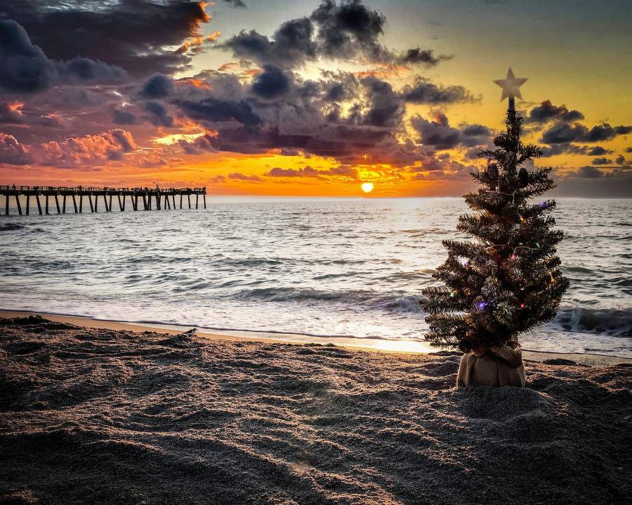 Christmas at the Beach Pier Photograph by Joe Myeress