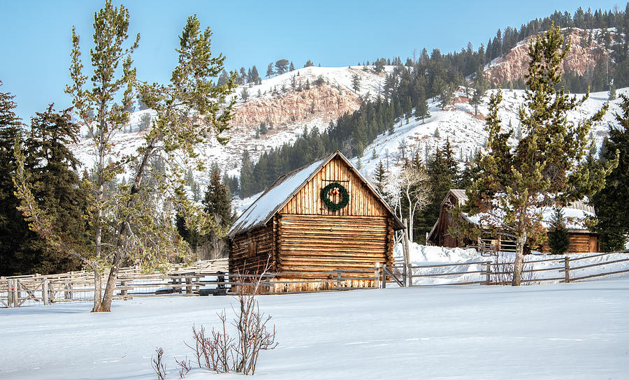 Christmas at the Ranch Photograph by Marcy Wielfaert