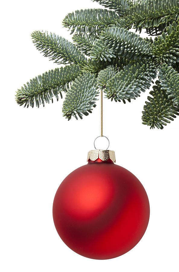 Christmas ball hanging on a fir tree branch Photograph by Malerapaso