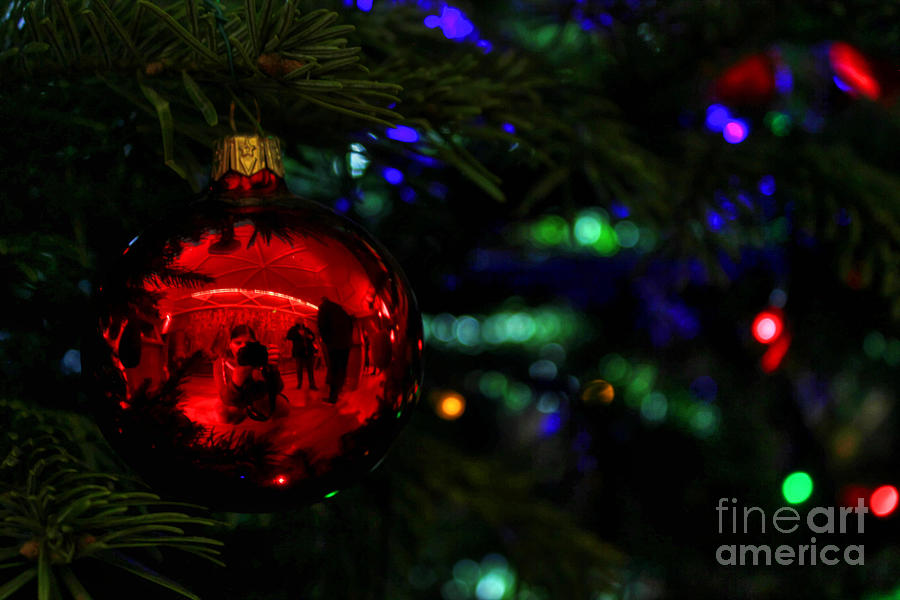 Christmas Bauble  Photograph by Vicki Spindler
