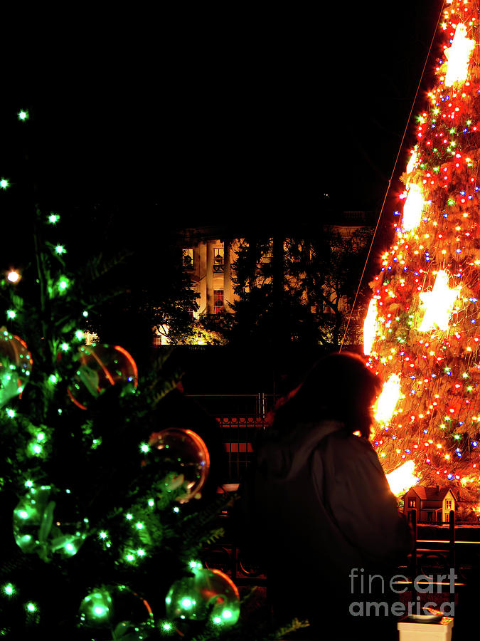 Christmas Behind the White House Photograph by William Kuta