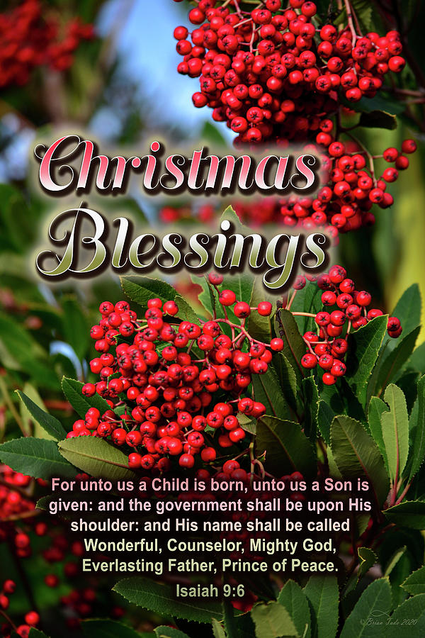 Christmas Blessings Photograph