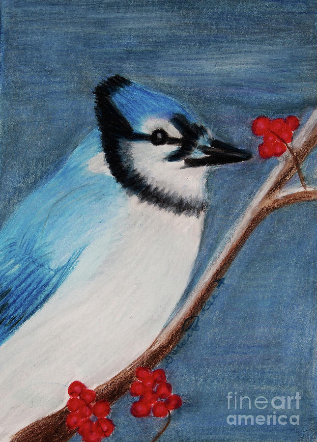 Christmas Blue Jay Painting by Dorothy Lee