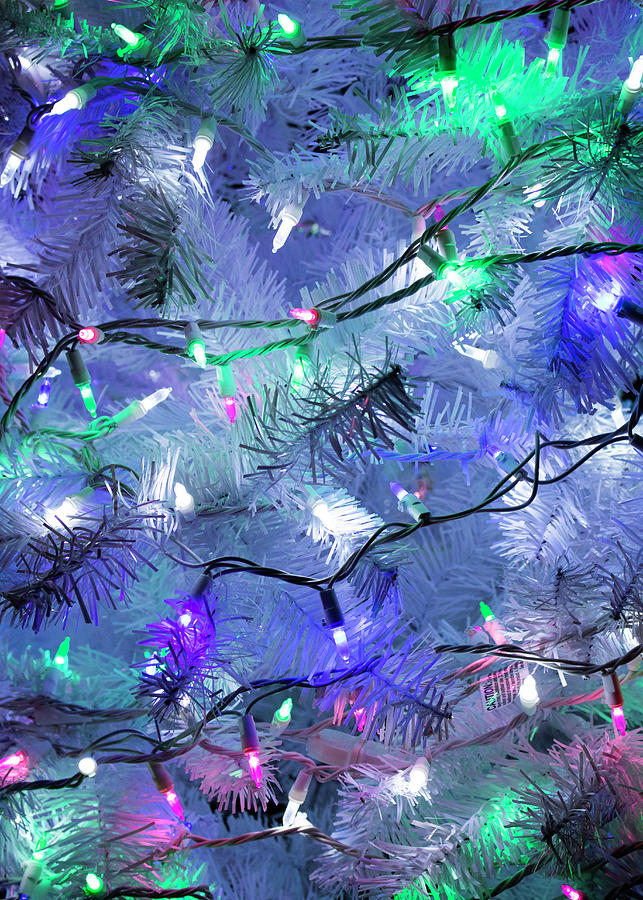 Christmas Blues Tree Close Up Photograph by Robert Wilder Jr