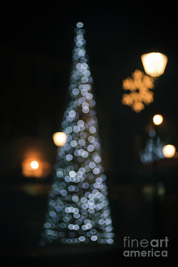Christmas Bokeh Photograph by Jelena Jovanovic